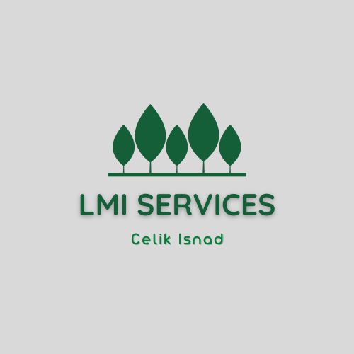 logo img